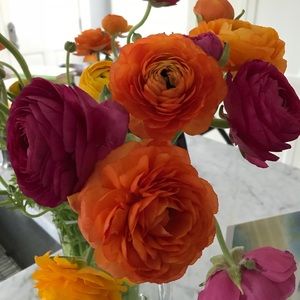 Meet your Posher, Ivy